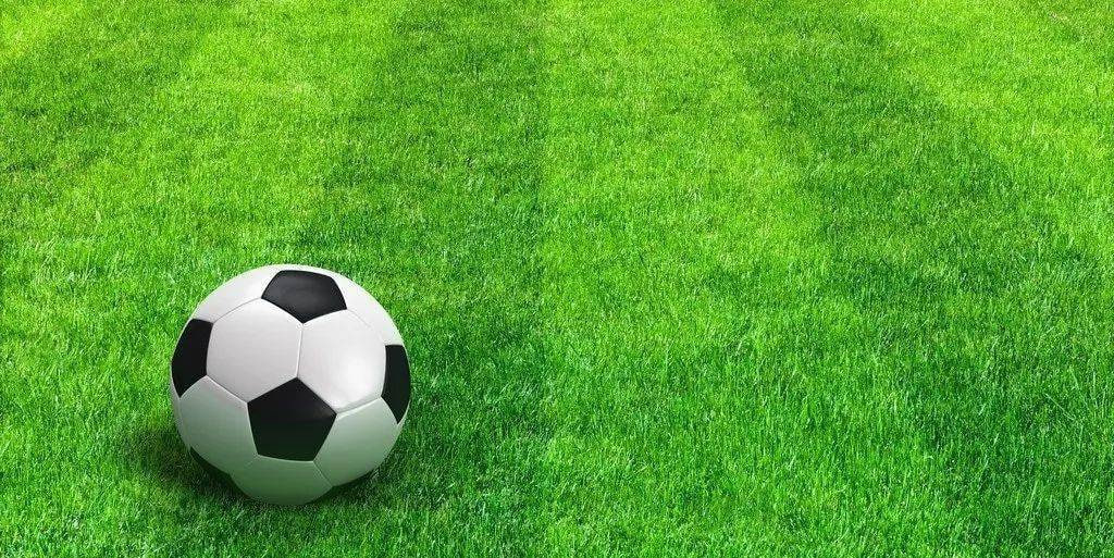 任选9场中奖规则详细图解